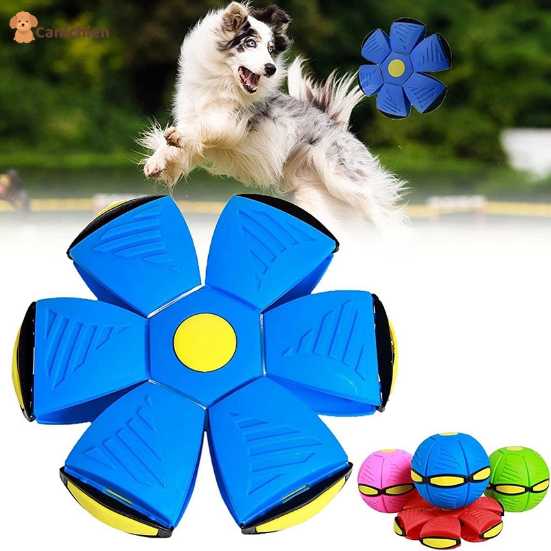 Balle pour chien | RelaxBall™