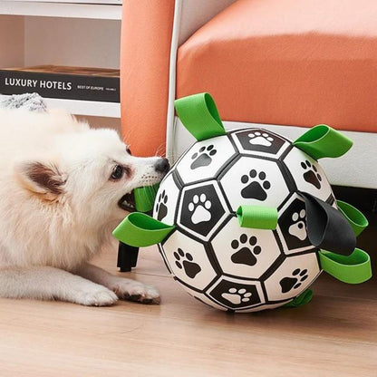 ballon-pour-chien-amusant