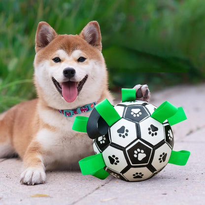 ballon-pour-chien-bien-etre