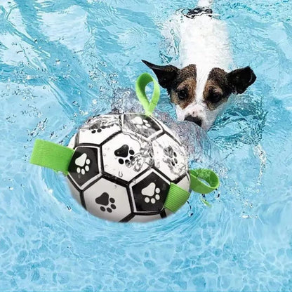 ballon-pour-chien-dans-eau