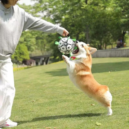 ballon-pour-chien-drole