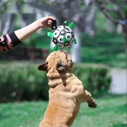 ballon-pour-chien-exercice