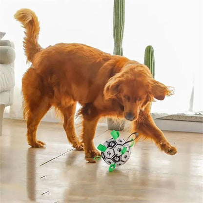 ballon-pour-chien-interieur-amusant