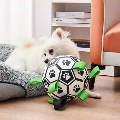 ballon-pour-chien-interieur