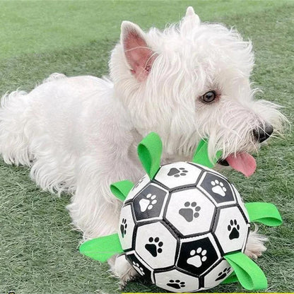 ballon-pour-chien-moyen