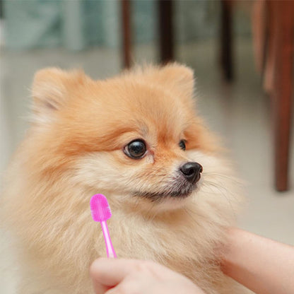 brosse-a-dent-chien-rose-ideal