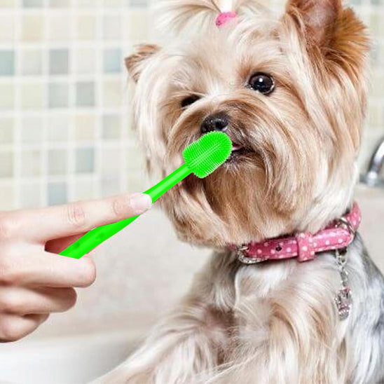 brosse-a-dent-chien-vert