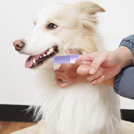 brosse-a-dent-pour-chien-mauve