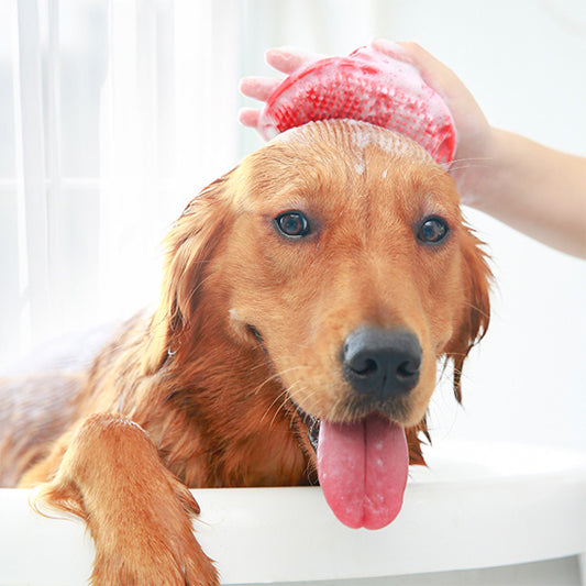 brosse-pour-chien-bain-rouge