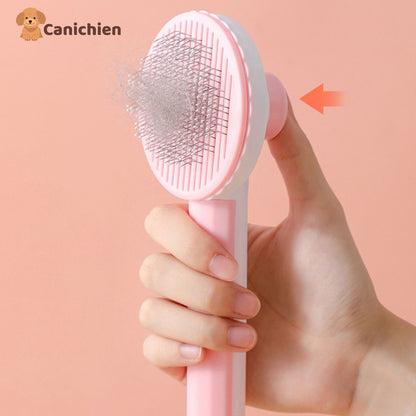 brosse-pour-chien-clic