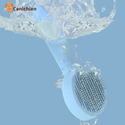 brosse-pour-chien-lavable
