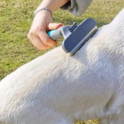 brosse-pour-chien-poil-long-douce