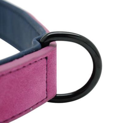 collier-chien-cuir-anneau