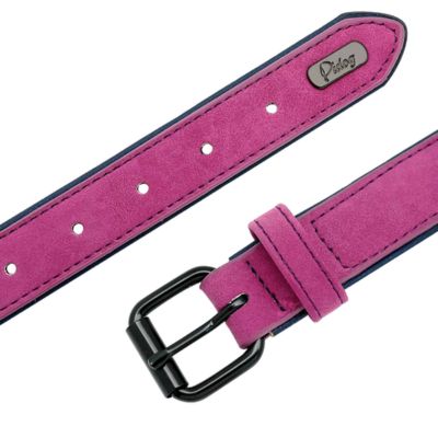 collier-chien-cuir-boucle