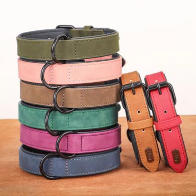 collier-chien-cuir-couleur-disponnible