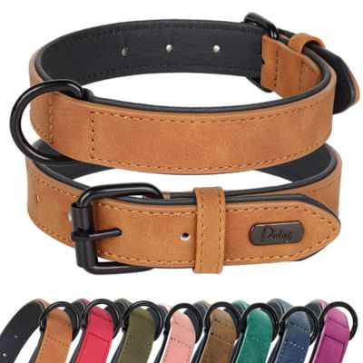 Collier Chien Cuir