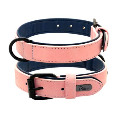 Collier Chien Cuir