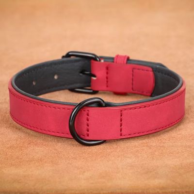 Collier Chien Cuir