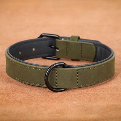 Collier Chien Cuir