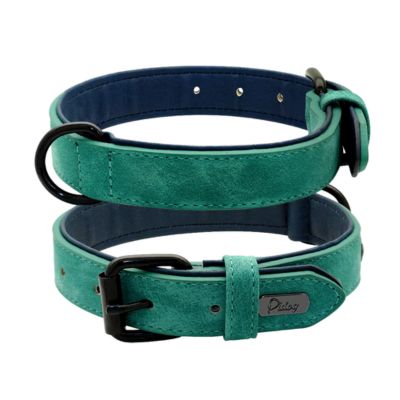 Collier Chien Cuir