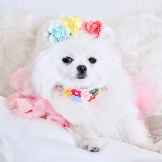 collier-chien-rose-petit