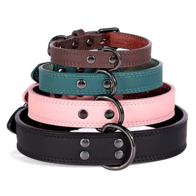 collier-cuir-chien-taille