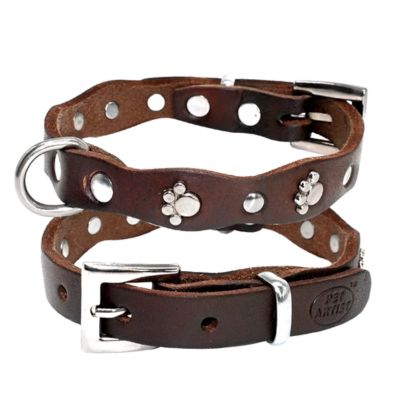 collier-cuir-chien