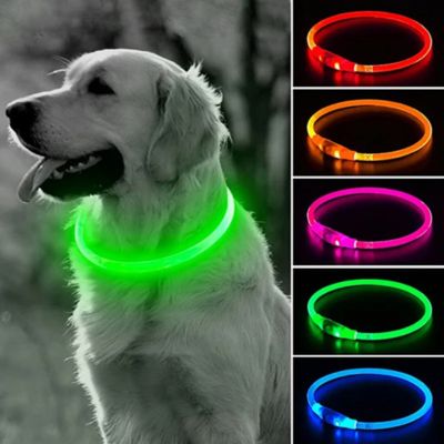 collier-lumineux-chien-couleur