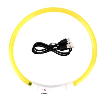 collier-lumineux-chien-jaune