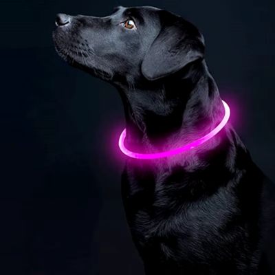 collier-lumineux-chien-rose-variante