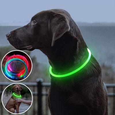 collier-lumineux-chien-vert