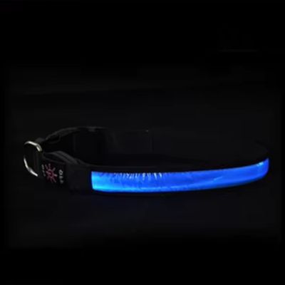 collier-lumineux-pour-chien-led-bleu