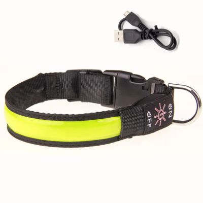 collier-lumineux-pour-chien-led-jaune