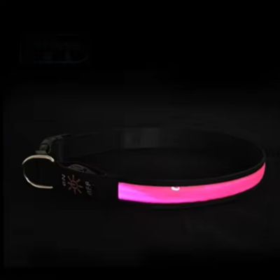 collier-lumineux-pour-chien-led-rose