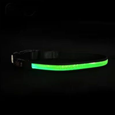 collier-lumineux-pour-chien-led-vert