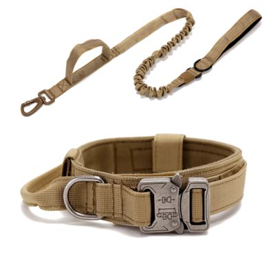 collier-pour-chien-beige-avec-laisse