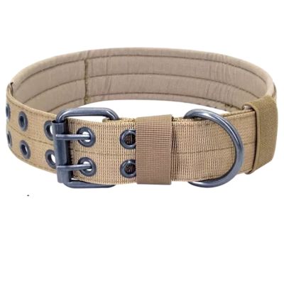 collier-pour-chien-beige