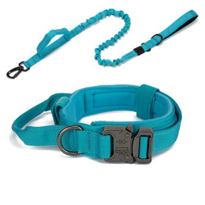 collier-pour-chien-bleu