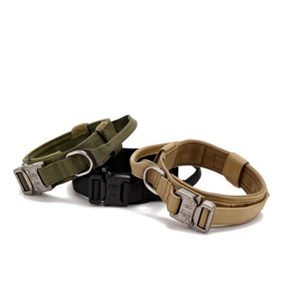collier-pour-chien-confortable