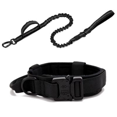 collier-pour-chien-noir