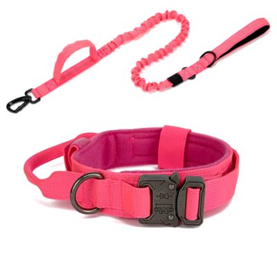 collier-pour-chien-rose