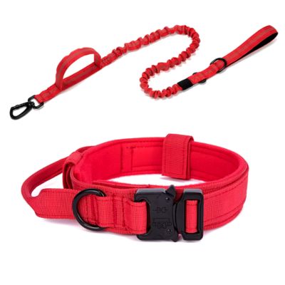 collier-pour-chien-rouge