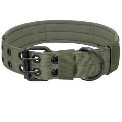 collier-pour-chien-vert