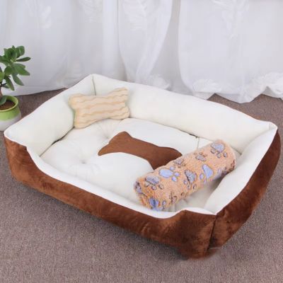 couchage-chien-brun-avec-couverture