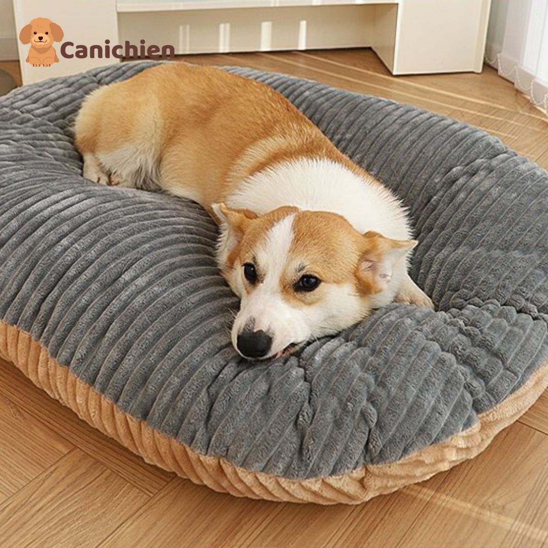 Coussin anti stress chien | TranquiPaw™