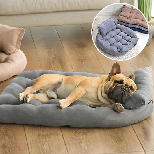 coussin-chien-convertible