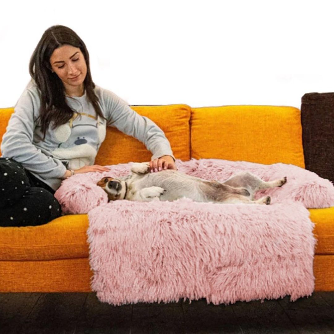 coussin-chien-variante-rose-taille-S