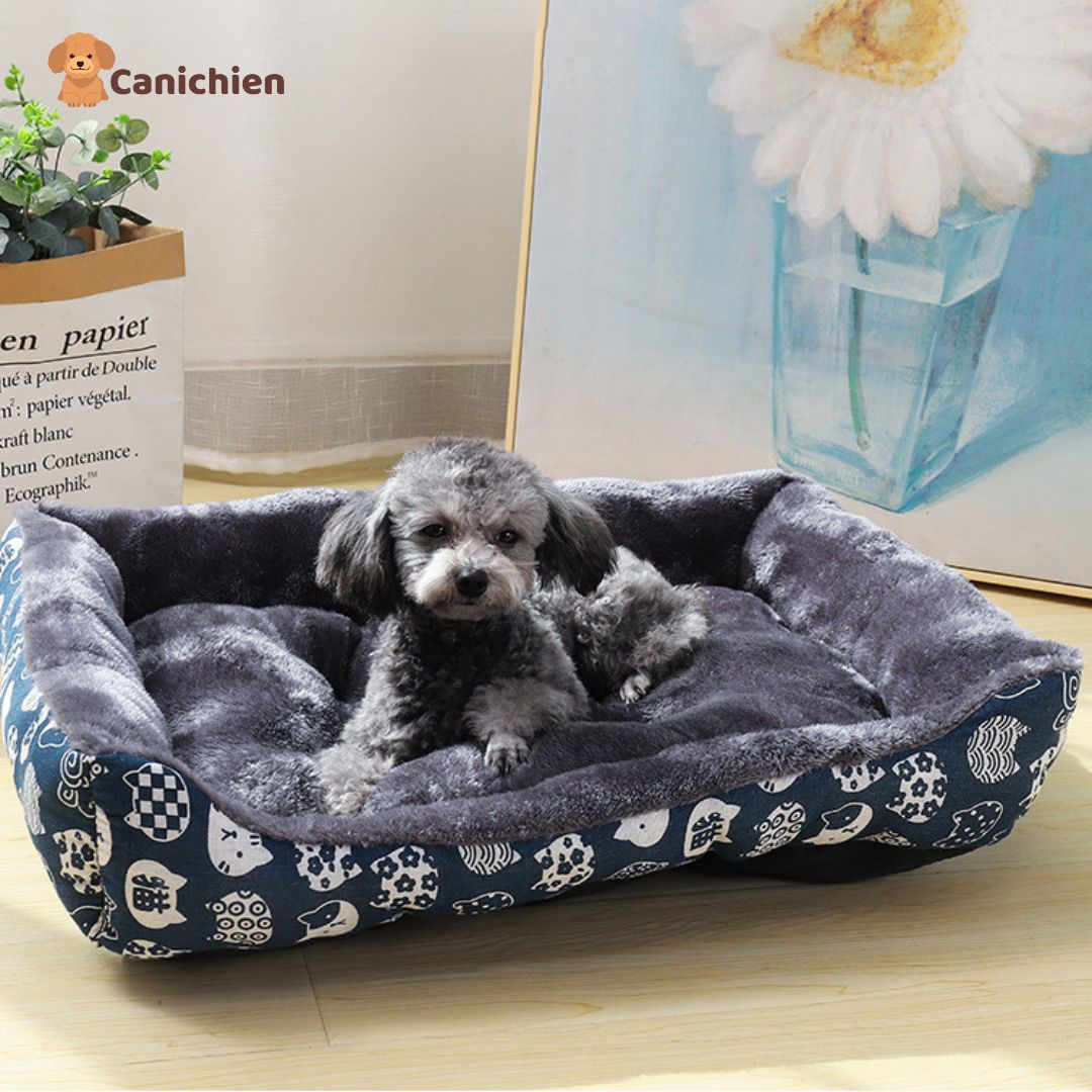 coussin-pour-chien-bleu