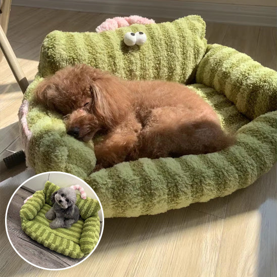 coussin-pour-chien-vert-canape