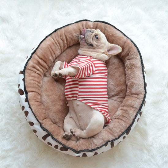 coussins-pour-chien-confortable
